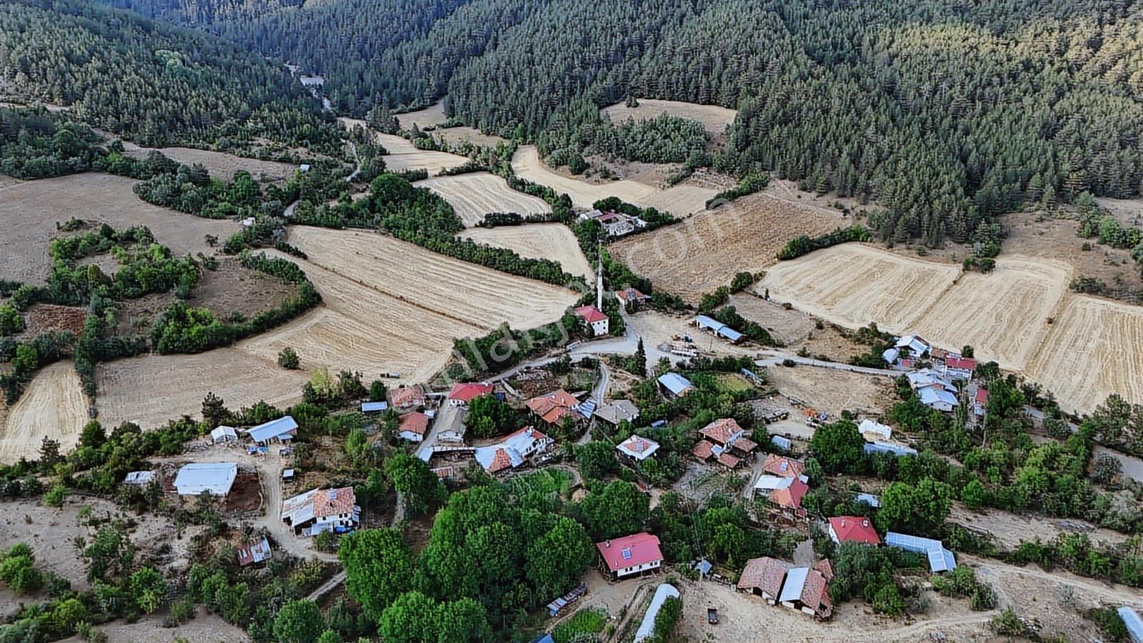 Kastamonu Daday Dereözü Köy Dibi 4018 M2 Tarım Arazisi Köye 450m - Görsel 23