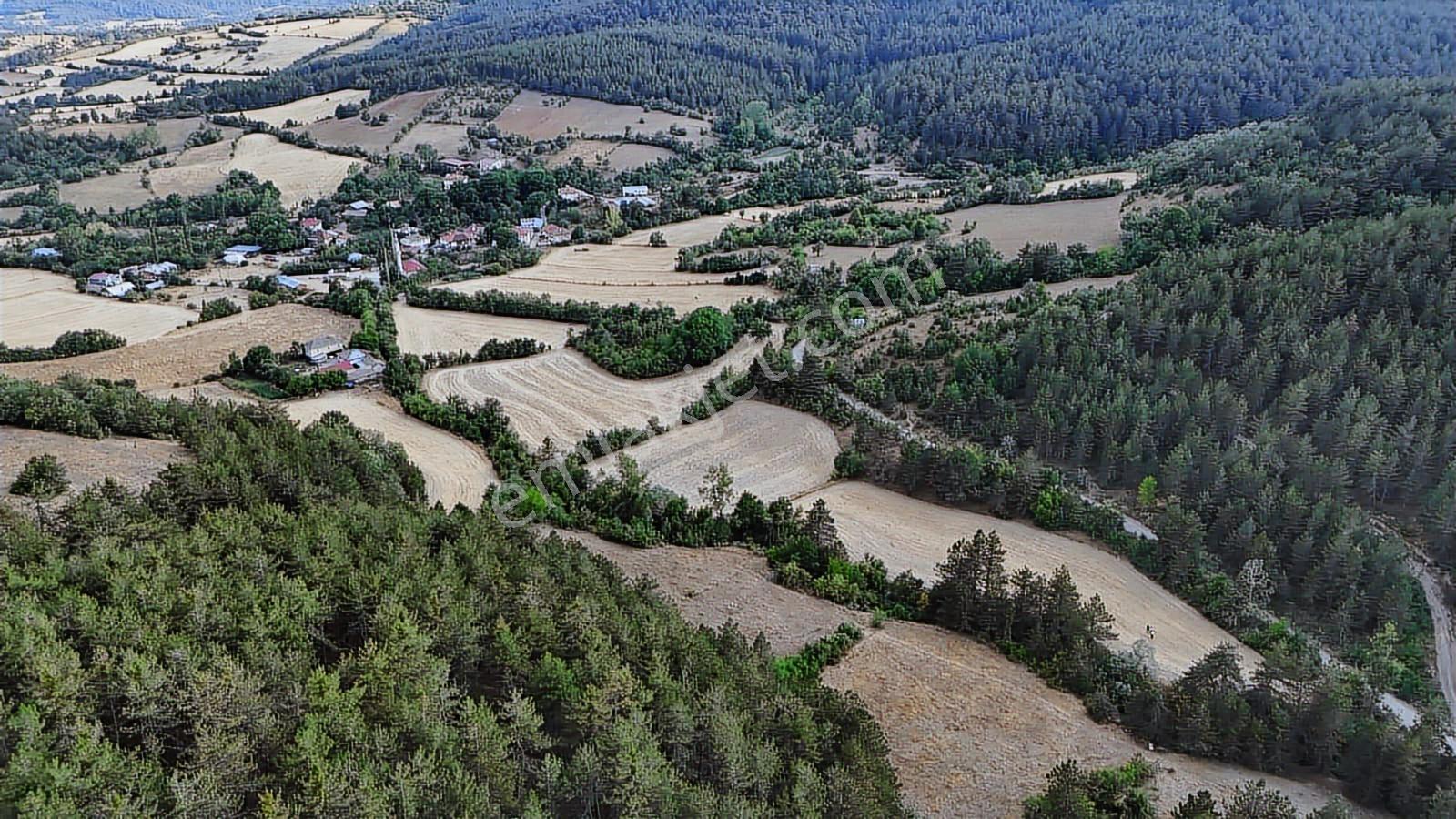 Kastamonu Daday Dereözü Köy Dibi 4018 M2 Tarım Arazisi Köye 450m - Görsel 15