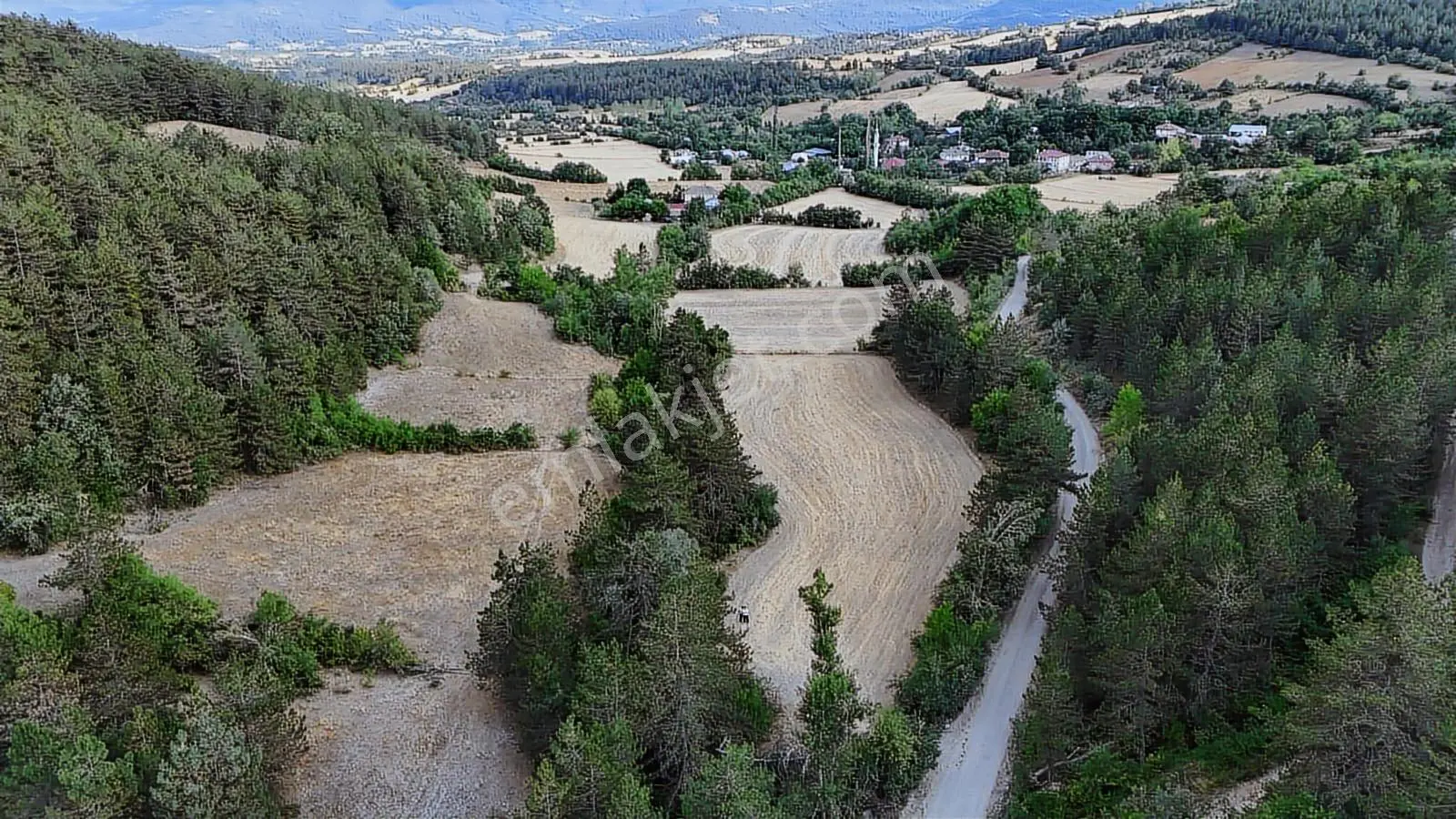 Kastamonu Daday Dereözü Köy Dibi 4018 M2 Tarım Arazisi Köye 450m - Görsel 38
