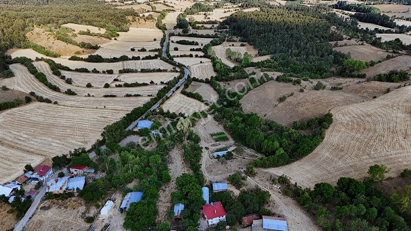 Kastamonu Daday Dereözü Köy Dibi 4018 M2 Tarım Arazisi Köye 450m - Görsel 12