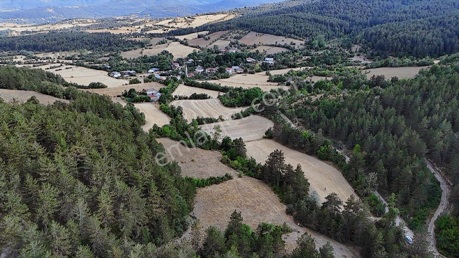 Kastamonu Daday Dereözü Köy Dibi 4018 M2 Tarım Arazisi Köye 450m - Görsel 33