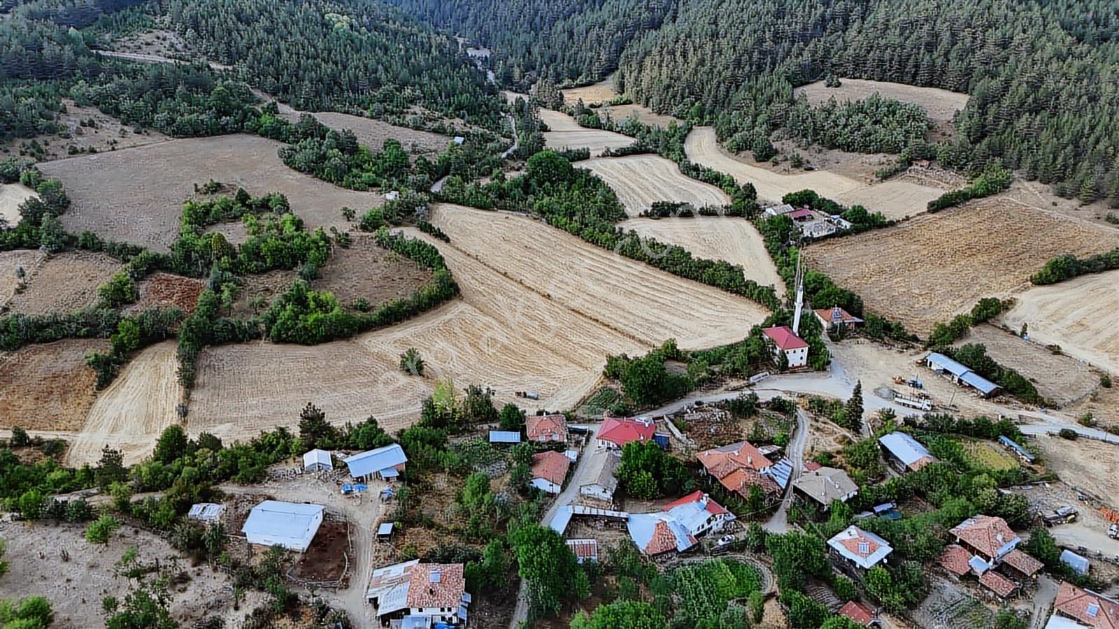 Kastamonu Daday Dereözü Köy Dibi 4018 M2 Tarım Arazisi Köye 450m - Görsel 37
