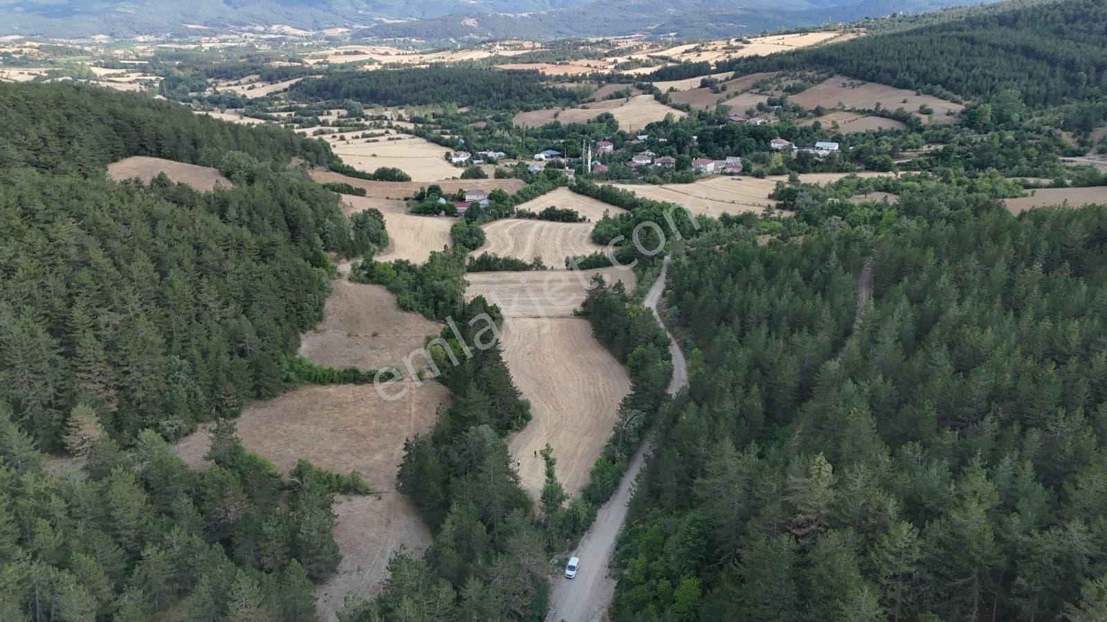 Kastamonu Daday Dereözü Köy Dibi 4018 M2 Tarım Arazisi Köye 450m - Görsel 30