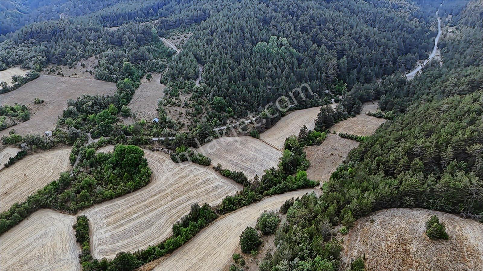 Kastamonu Daday Dereözü Köy Dibi 4018 M2 Tarım Arazisi Köye 450m - Görsel 17