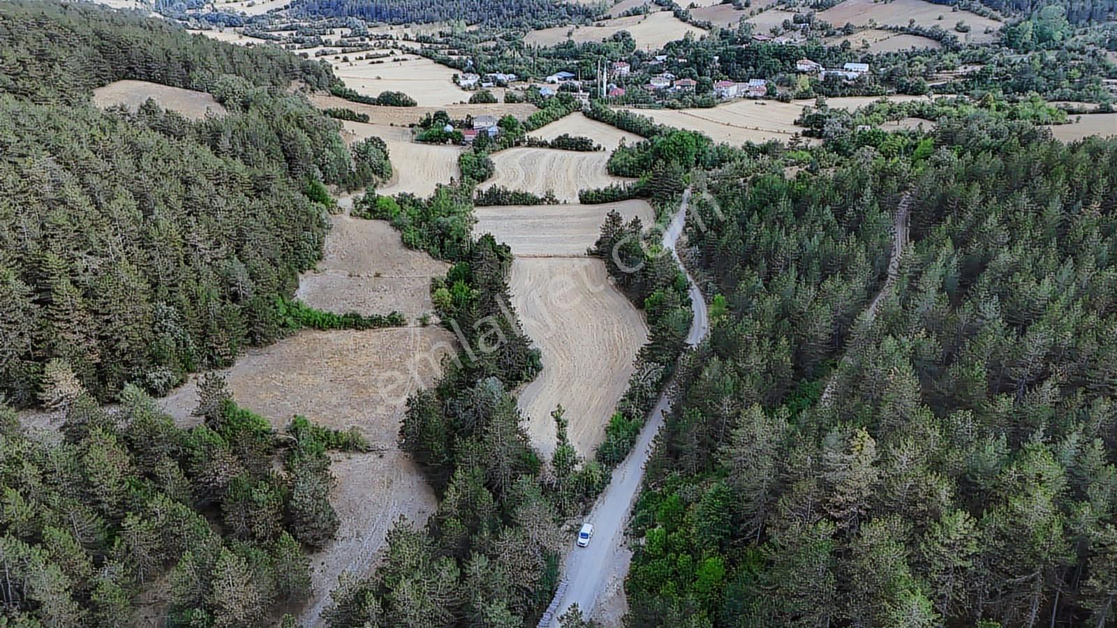 Kastamonu Daday Dereözü Köy Dibi 4018 M2 Tarım Arazisi Köye 450m - Görsel 10