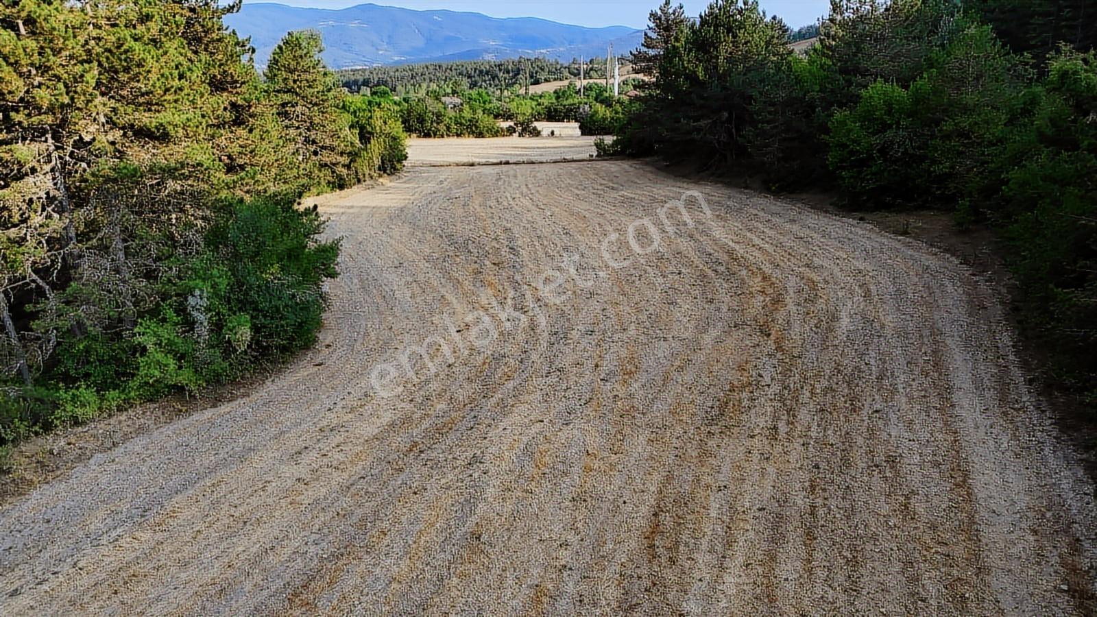 Kastamonu Daday Dereözü Köy Dibi 4018 M2 Tarım Arazisi Köye 450m - Görsel 25
