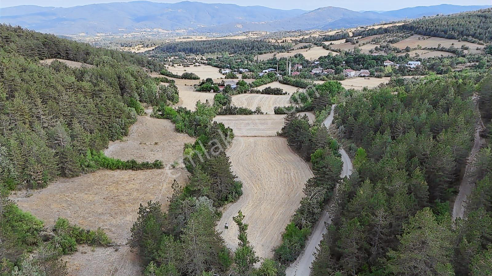 Kastamonu Daday Dereözü Köy Dibi 4018 M2 Tarım Arazisi Köye 450m - Görsel 36