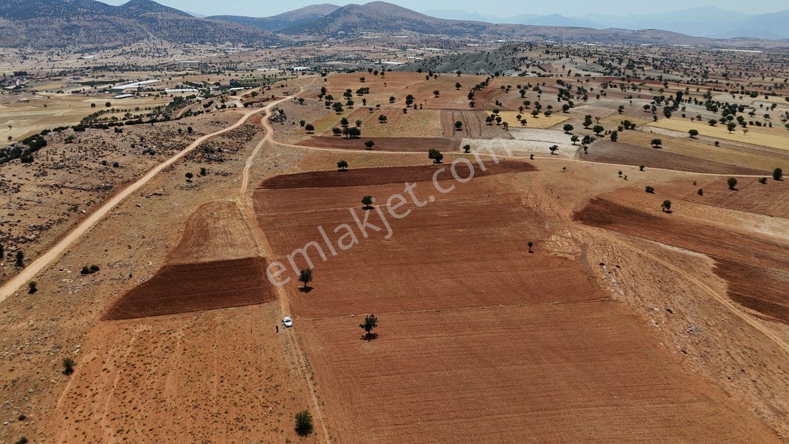 Antalya Elmalı Büyüksöğle 4775 Fırsat Arazi - Görsel 2