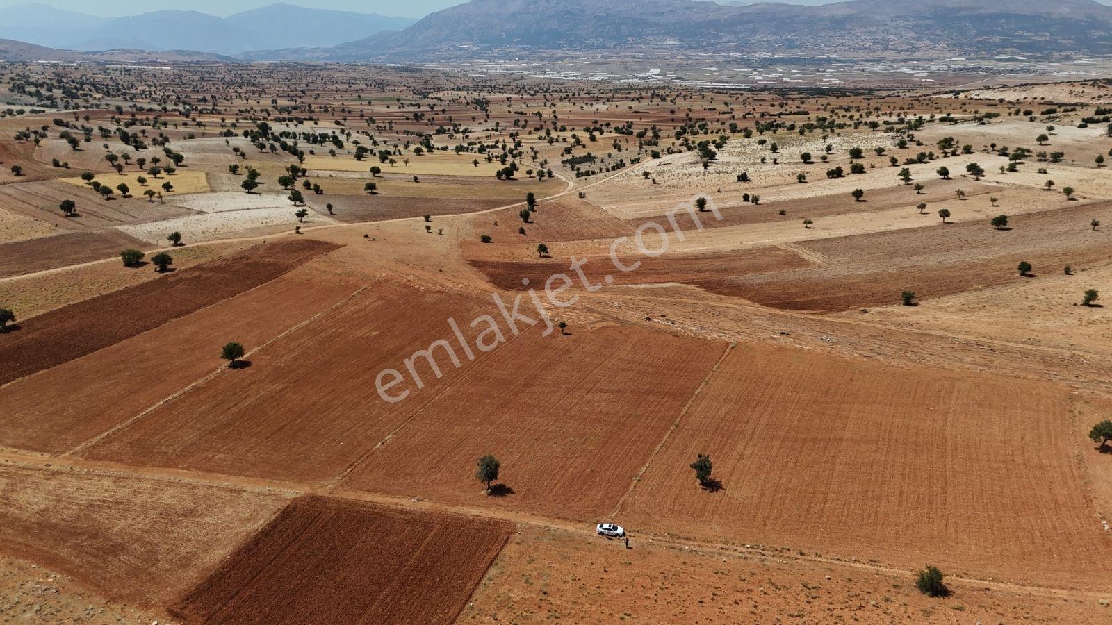 Antalya Elmalı Büyüksöğle 4775 Fırsat Arazi - Görsel 3