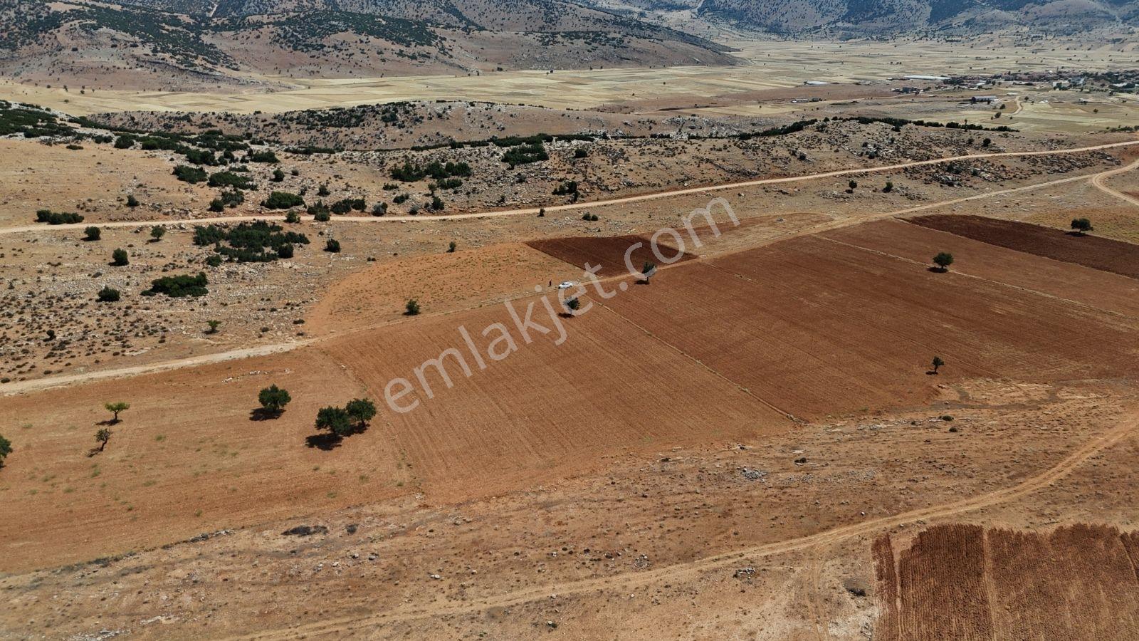 Antalya Elmalı Büyüksöğle 4775 Fırsat Arazi - Görsel 5