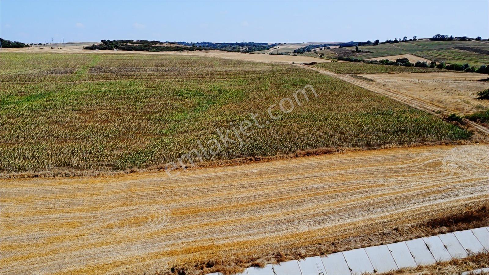 Edirne Uzunköprü Eskiköy 7581m2 Resmi Yola Cephe Köye 400 Metre - Görsel 35