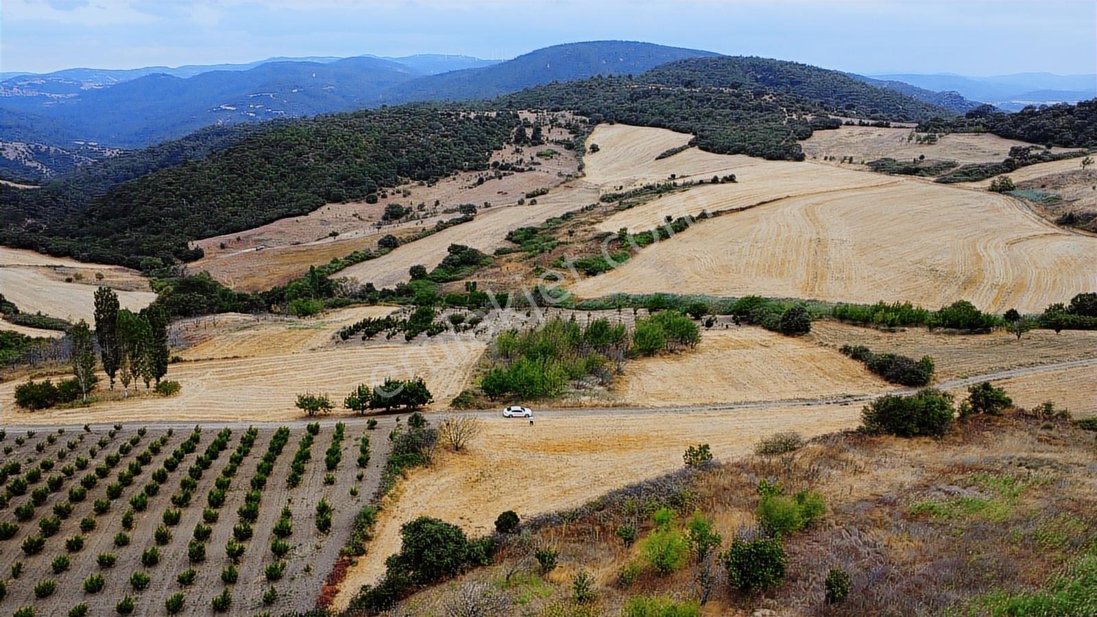 Çanakkale Lapseki Subaşı 4256m2 Resmi Yola Cephe Lapsekiye 6 Km - Görsel 27