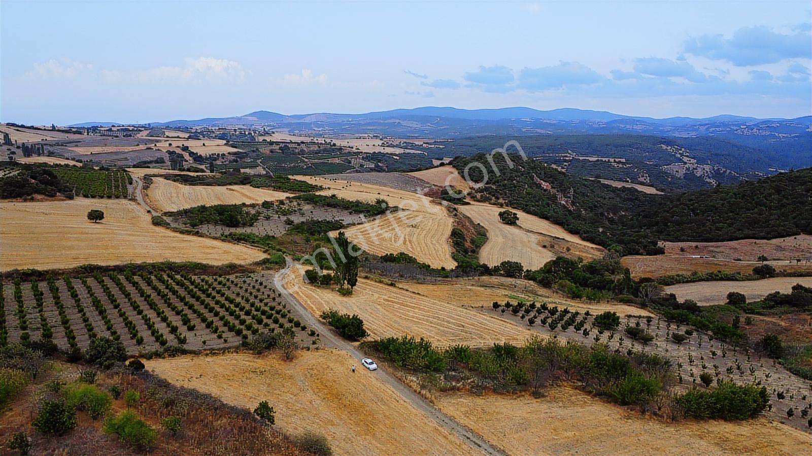 Çanakkale Lapseki Subaşı 4256m2 Resmi Yola Cephe Lapsekiye 6 Km - Görsel 35
