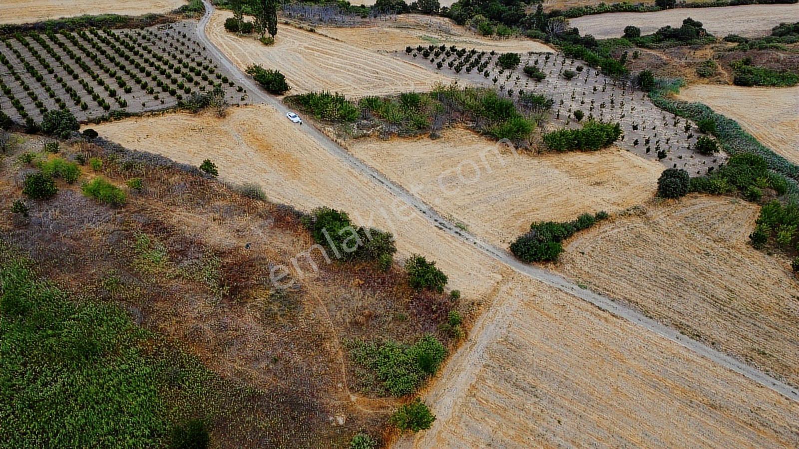 Çanakkale Lapseki Subaşı 4256m2 Resmi Yola Cephe Lapsekiye 6 Km - Görsel 10