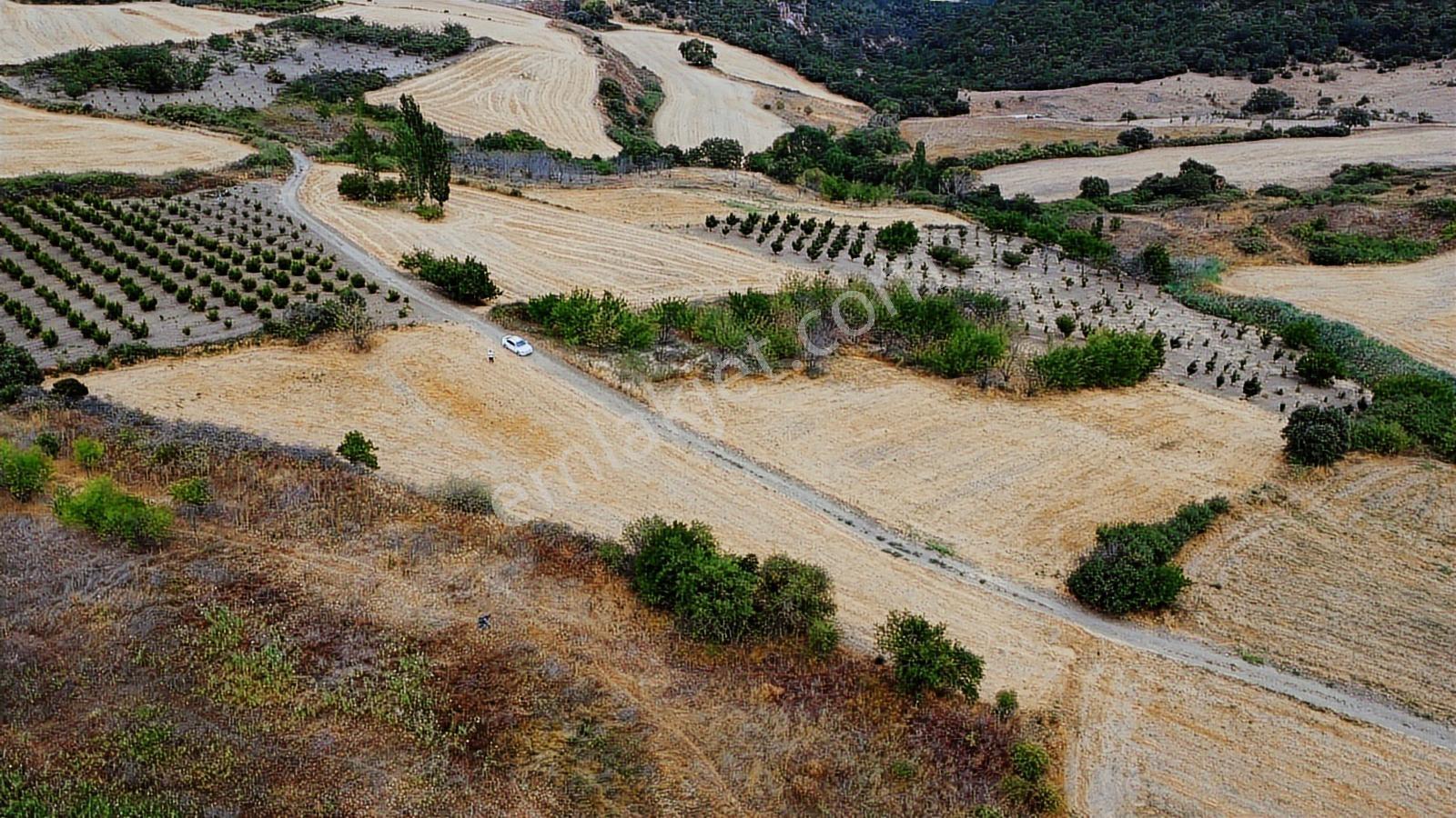 Çanakkale Lapseki Subaşı 4256m2 Resmi Yola Cephe Lapsekiye 6 Km - Görsel 30