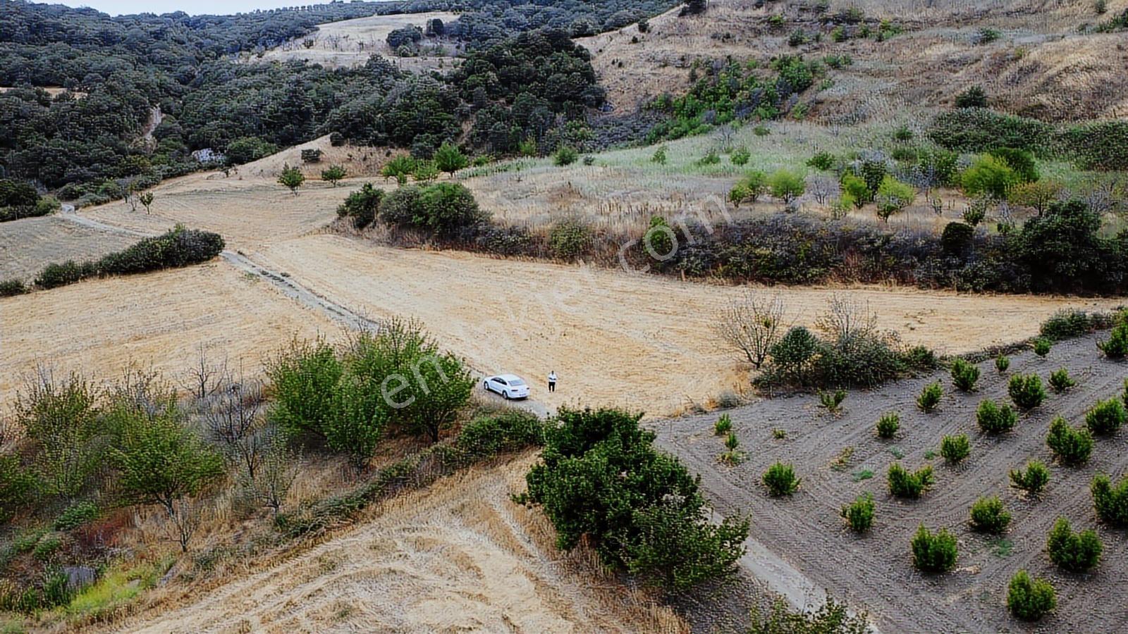 Çanakkale Lapseki Subaşı 4256m2 Resmi Yola Cephe Lapsekiye 6 Km - Görsel 32