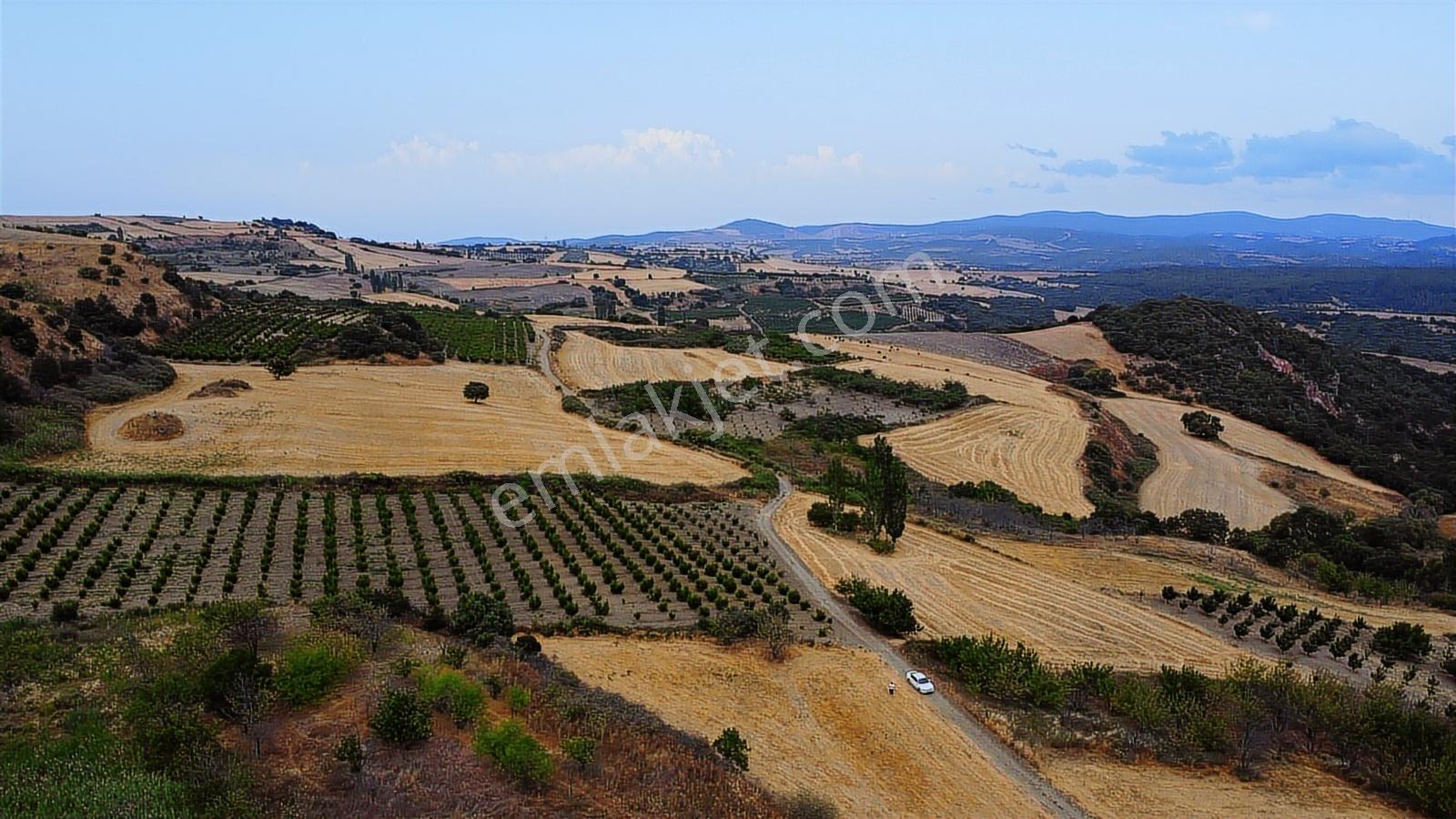 Çanakkale Lapseki Subaşı 4256m2 Resmi Yola Cephe Lapsekiye 6 Km - Görsel 36