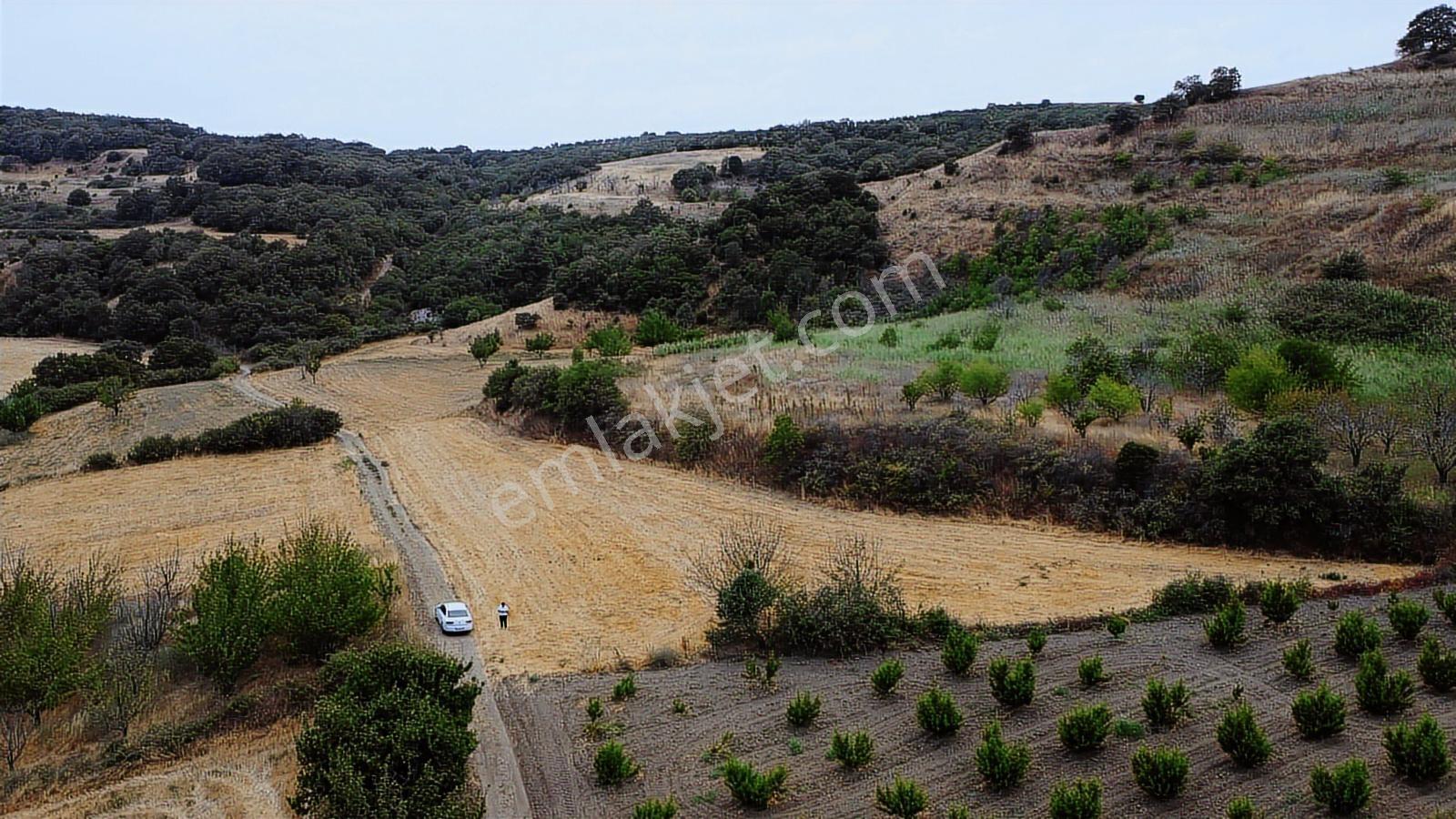 Çanakkale Lapseki Subaşı 4256m2 Resmi Yola Cephe Lapsekiye 6 Km - Görsel 16