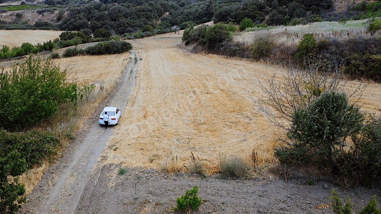 Çanakkale Lapseki Subaşı 4256m2 Resmi Yola Cephe Lapsekiye 6 Km - Görsel 11