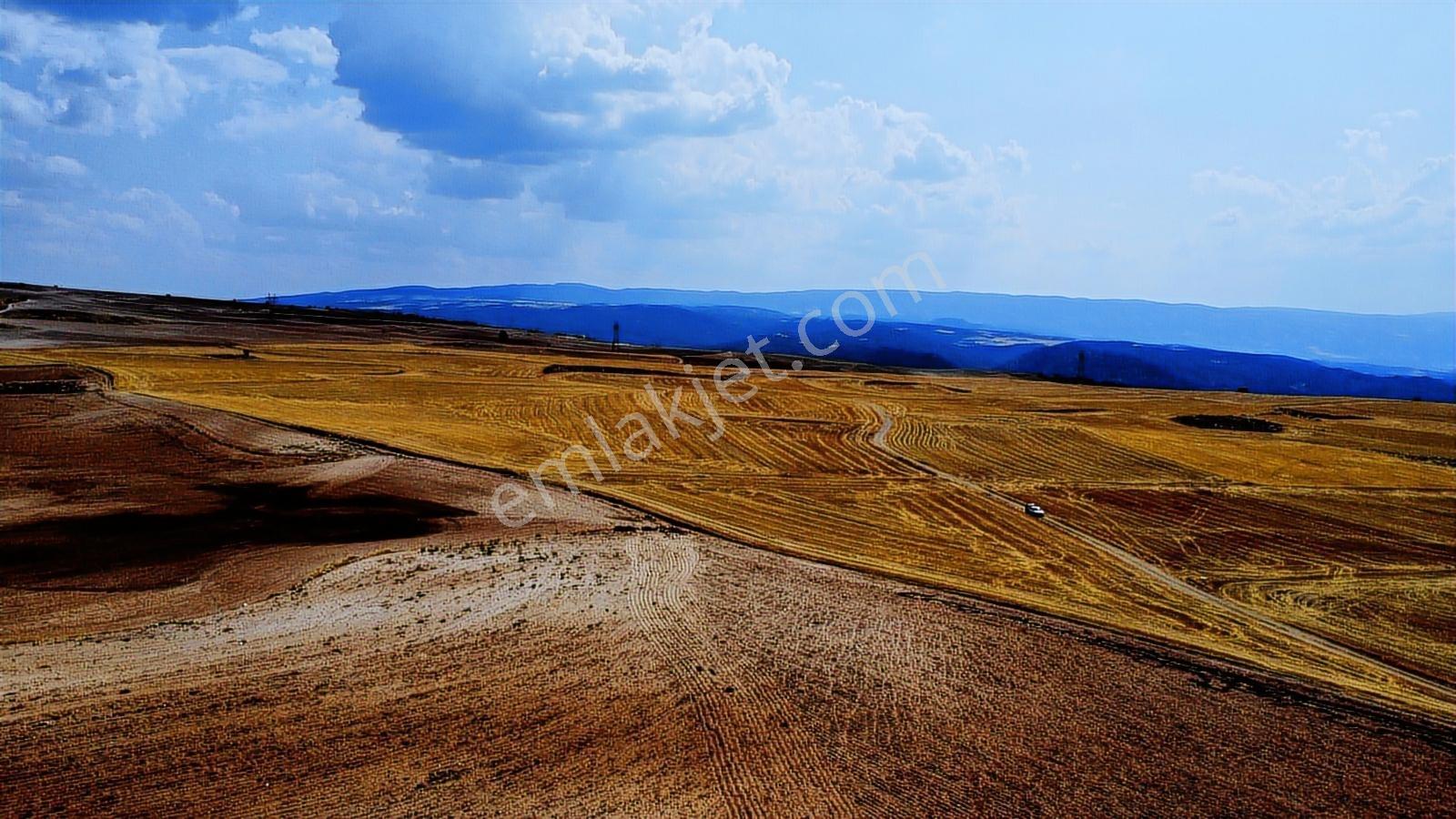 Ankara Beypazarı Kargı 6973m2 Resmi Yola Cepheli Arazi - Görsel 11