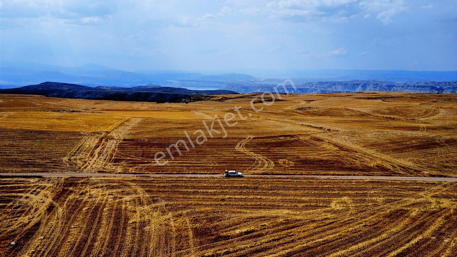 Ankara Beypazarı Kargı 6973m2 Resmi Yola Cepheli Arazi - Görsel 7