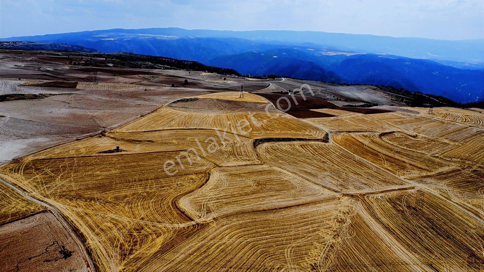 Ankara Beypazarı Kargı 6973m2 Resmi Yola Cepheli Arazi - Görsel 5