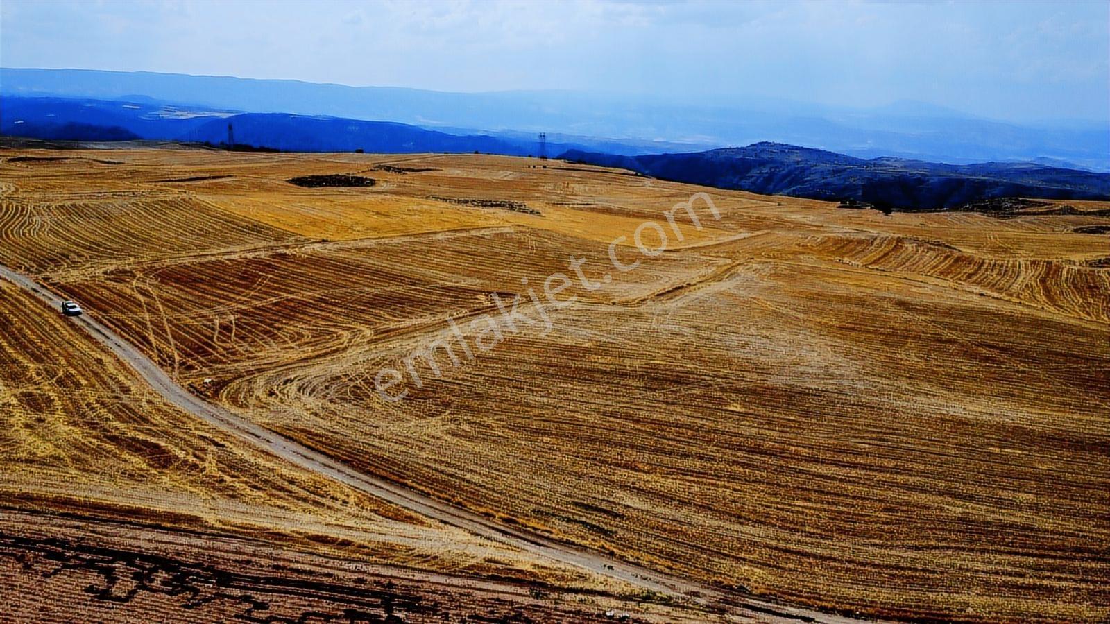 Ankara Beypazarı Kargı 6973m2 Resmi Yola Cepheli Arazi - Görsel 20