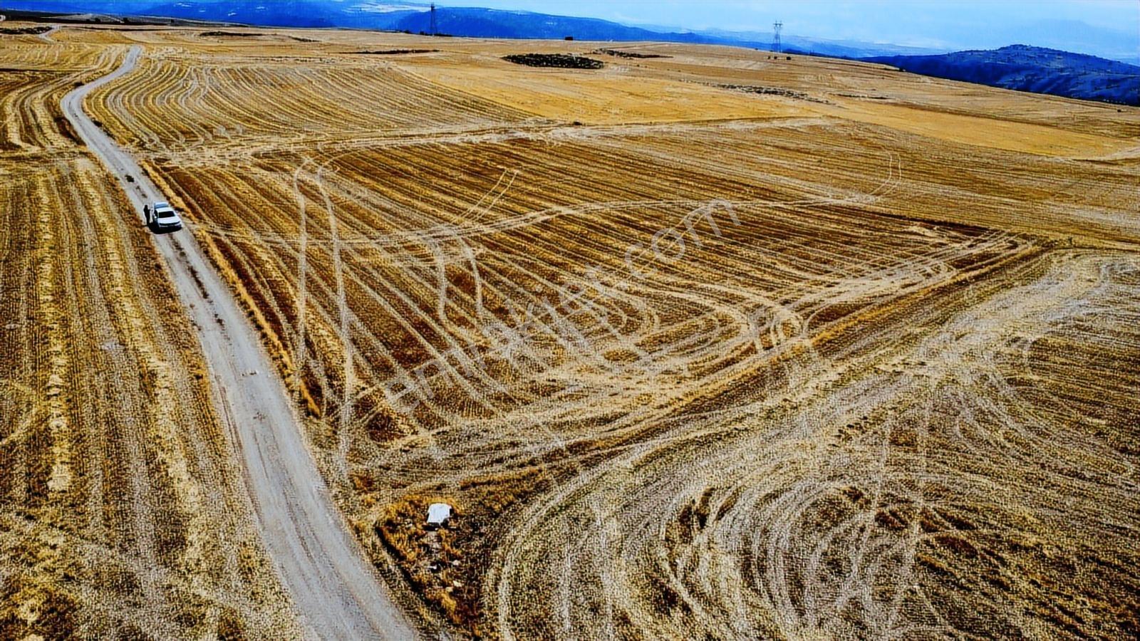 Ankara Beypazarı Kargı 6973m2 Resmi Yola Cepheli Arazi - Görsel 2