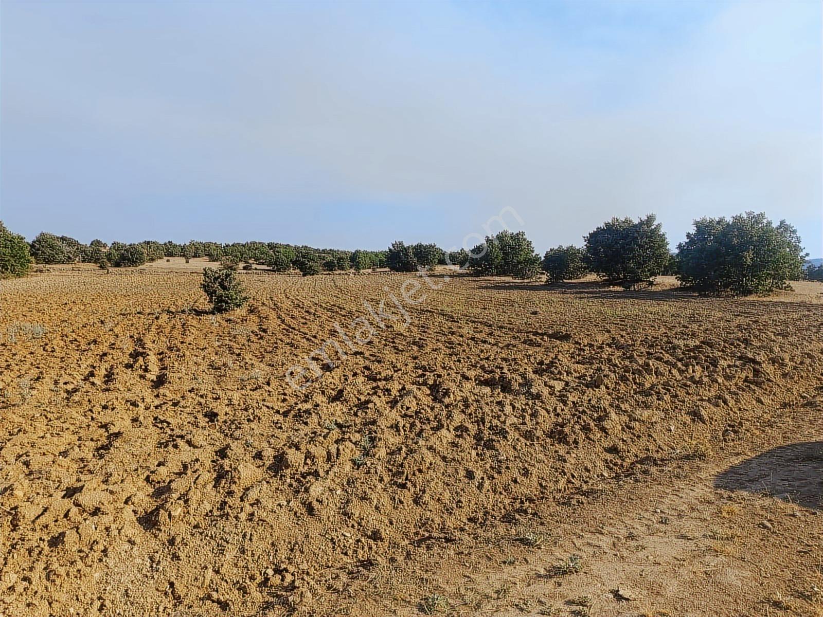 Eskişehir Han Kıyı 16200 M2 Resmi Yola Cephe Köye 650 Mt Mesafe - Görsel 9