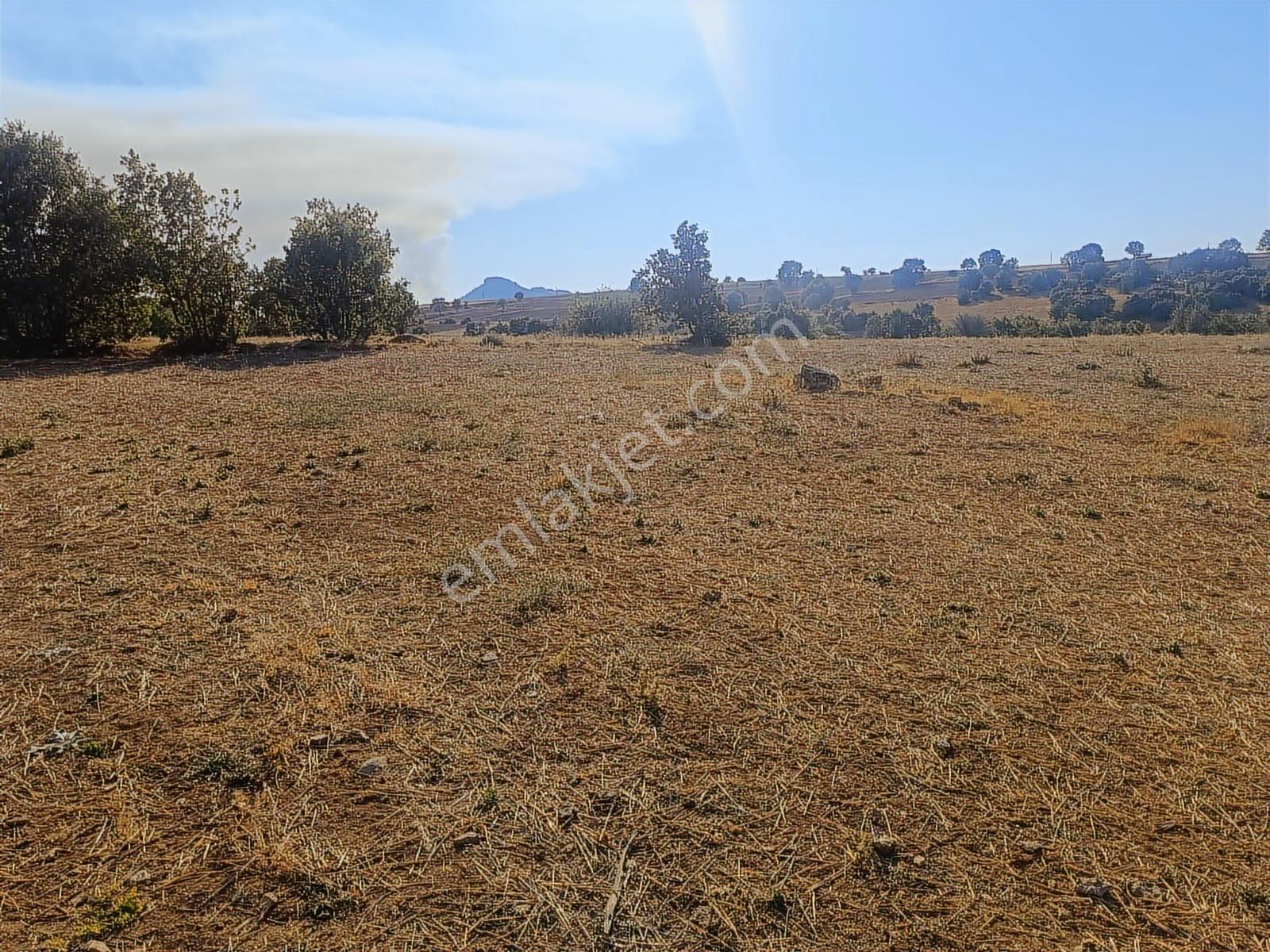 Eskişehir Han Kıyı 16200 M2 Resmi Yola Cephe Köye 650 Mt Mesafe - Görsel 4