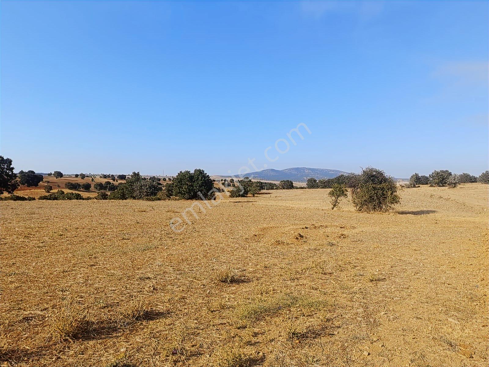 Eskişehir Han Kıyı 16200 M2 Resmi Yola Cephe Köye 650 Mt Mesafe - Görsel 6
