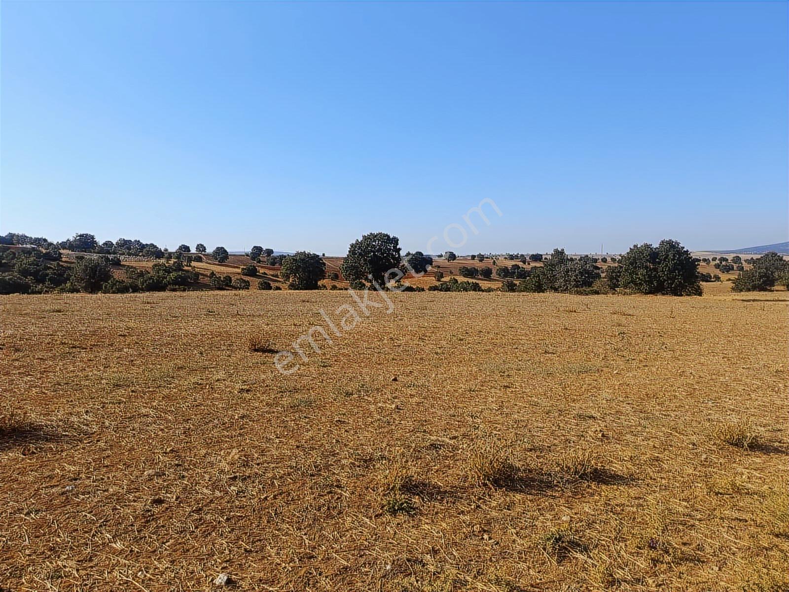 Eskişehir Han Kıyı 16200 M2 Resmi Yola Cephe Köye 650 Mt Mesafe - Görsel 12