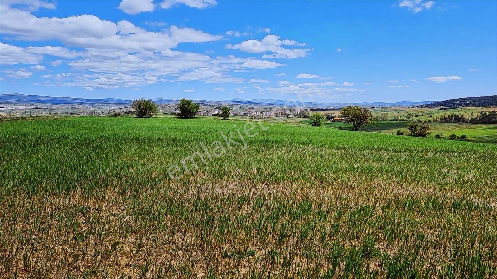 Tokat Zile Merkezhacılar Mah Resmi Yola Cepheli 13065 Metretarla
