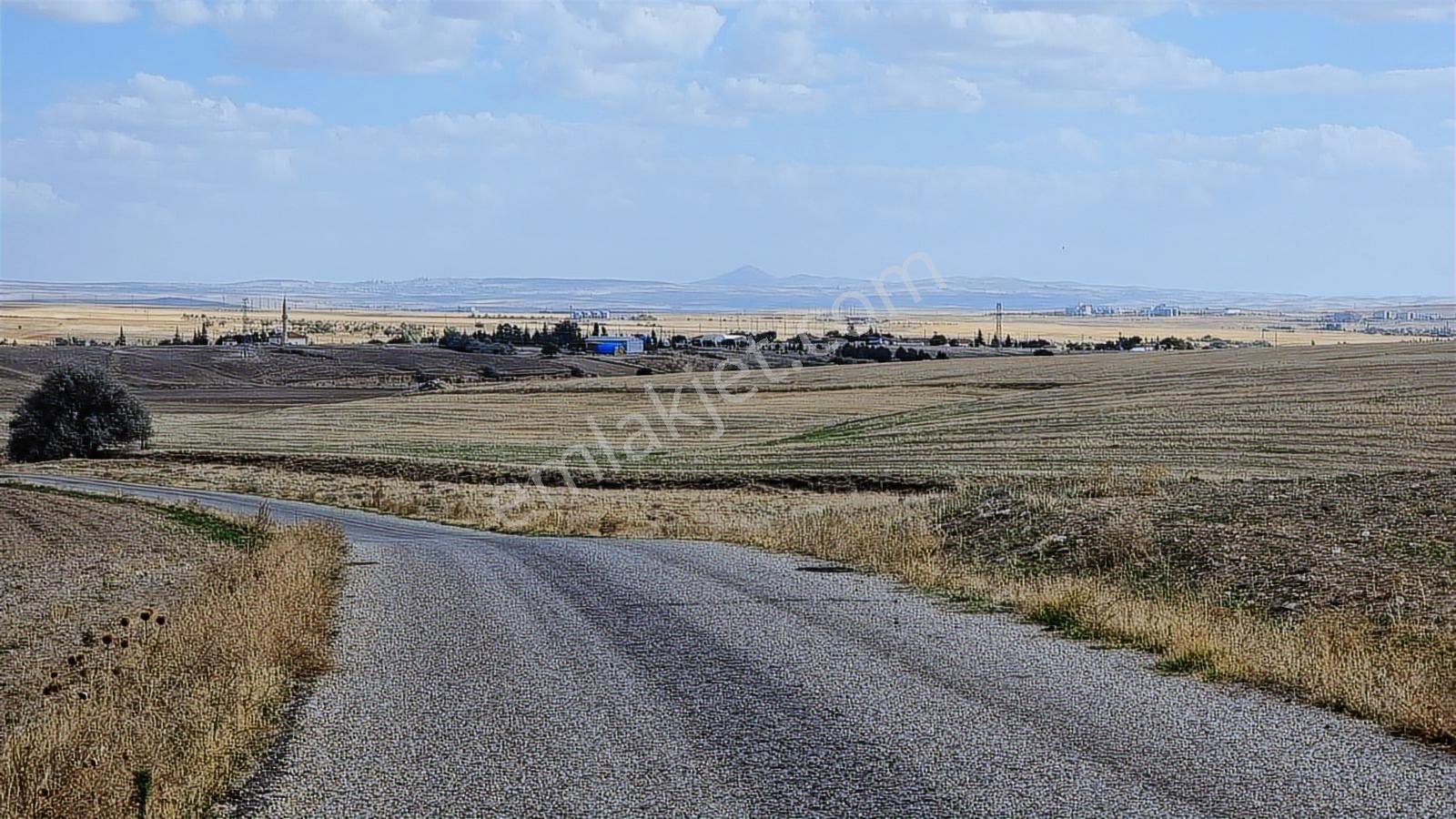 Asfalt Cephe Kırşehir Mucur Merkezde Satıroğlu Mahallesi 54000m2 - Görsel 29