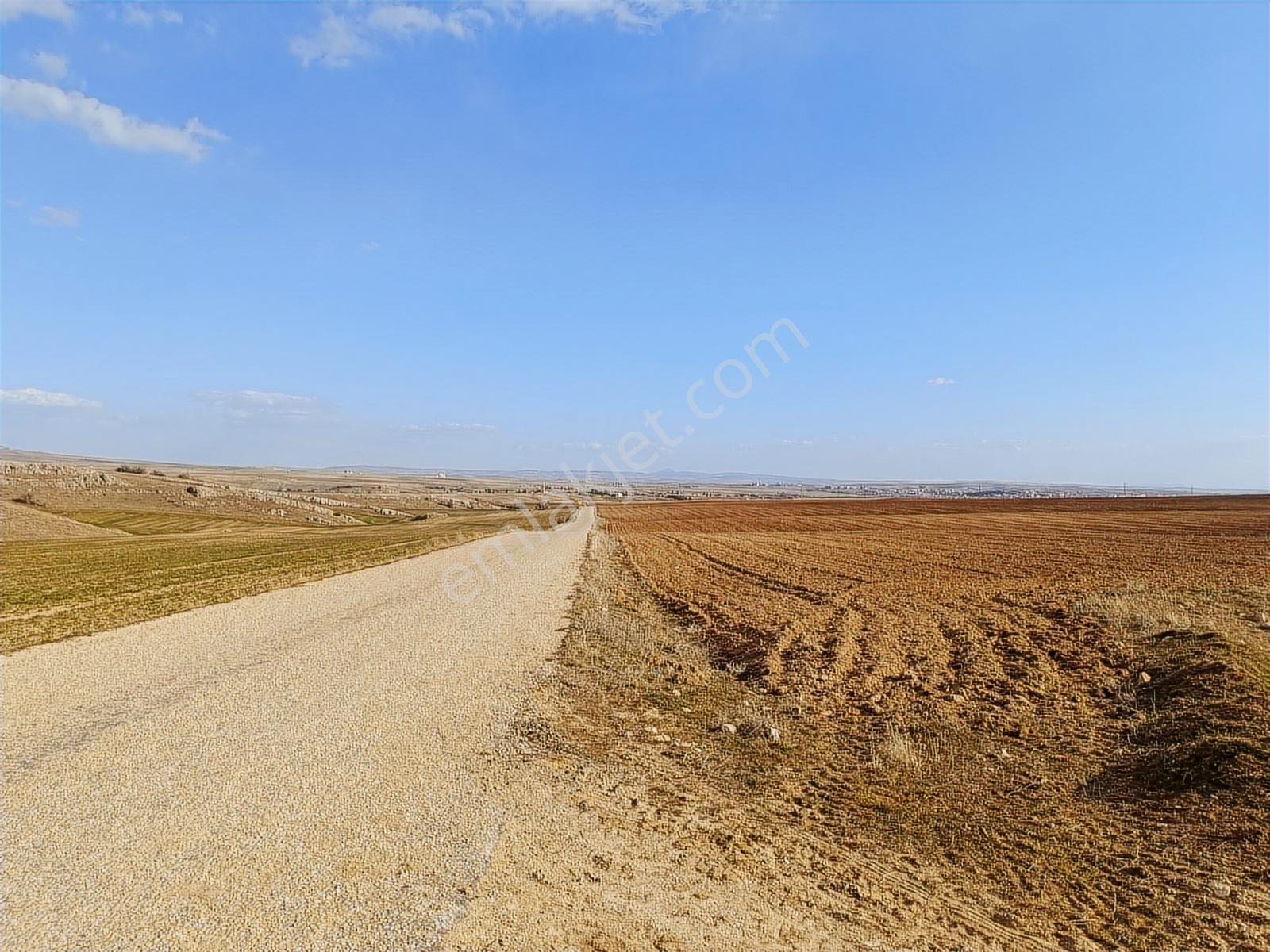 Asfalt Cephe Kırşehir Mucur Merkezde Satıroğlu Mahallesi 54000m2 - Görsel 41