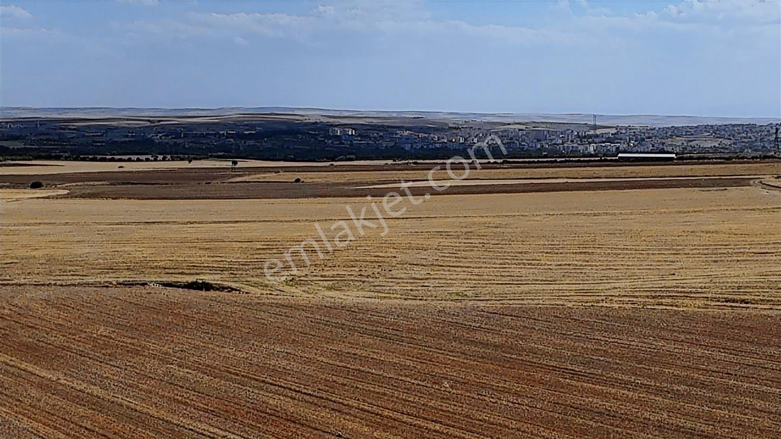 Asfalt Cephe Kırşehir Mucur Merkezde Satıroğlu Mahallesi 54000m2 - Görsel 27