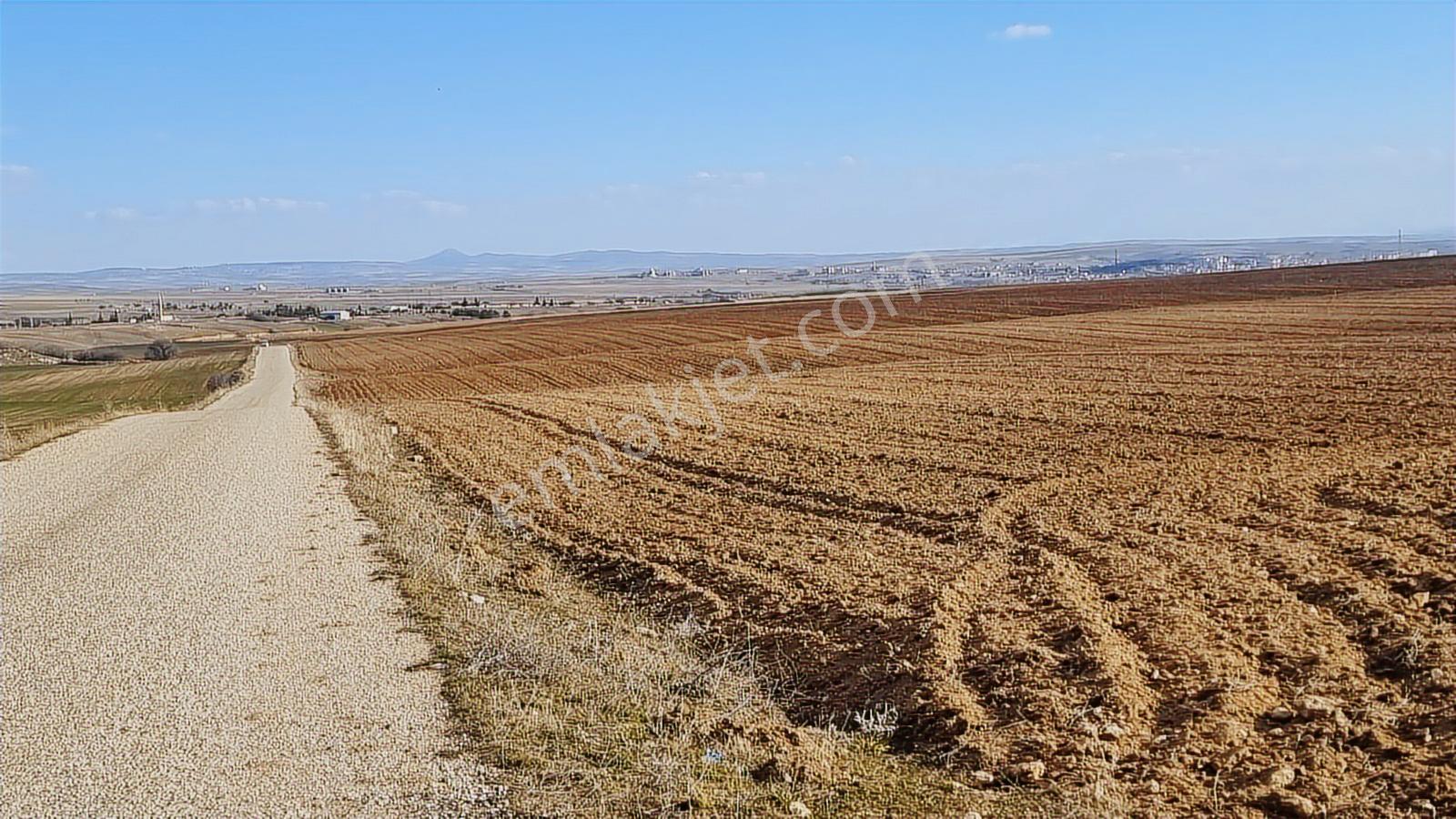 Asfalt Cephe Kırşehir Mucur Merkezde Satıroğlu Mahallesi 54000m2 - Görsel 8