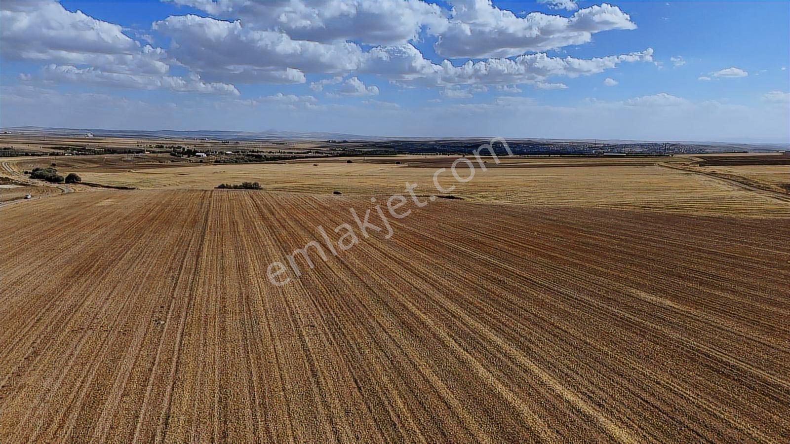 Asfalt Cephe Kırşehir Mucur Merkezde Satıroğlu Mahallesi 54000m2 - Görsel 16