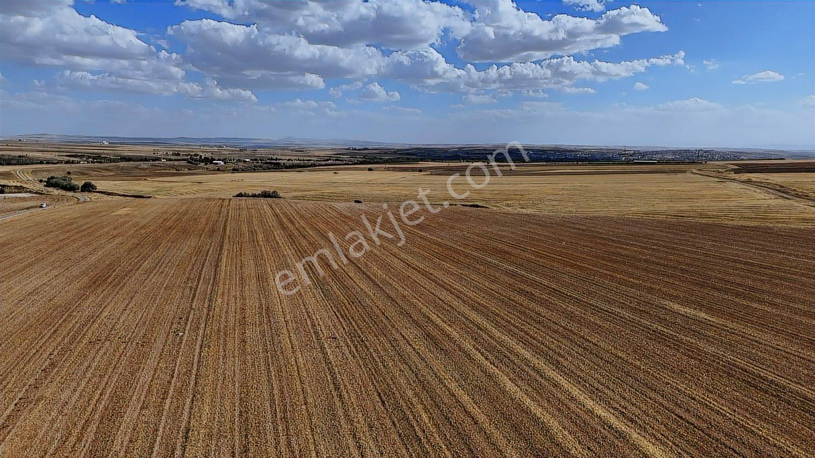 Asfalt Cephe Kırşehir Mucur Merkezde Satıroğlu Mahallesi 54000m2 - Görsel 34