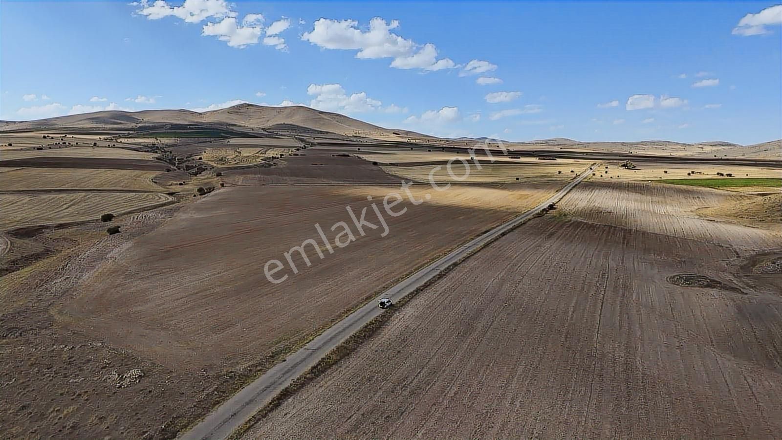 Asfalt Cephe Kırşehir Mucur Merkezde Satıroğlu Mahallesi 54000m2 - Görsel 20