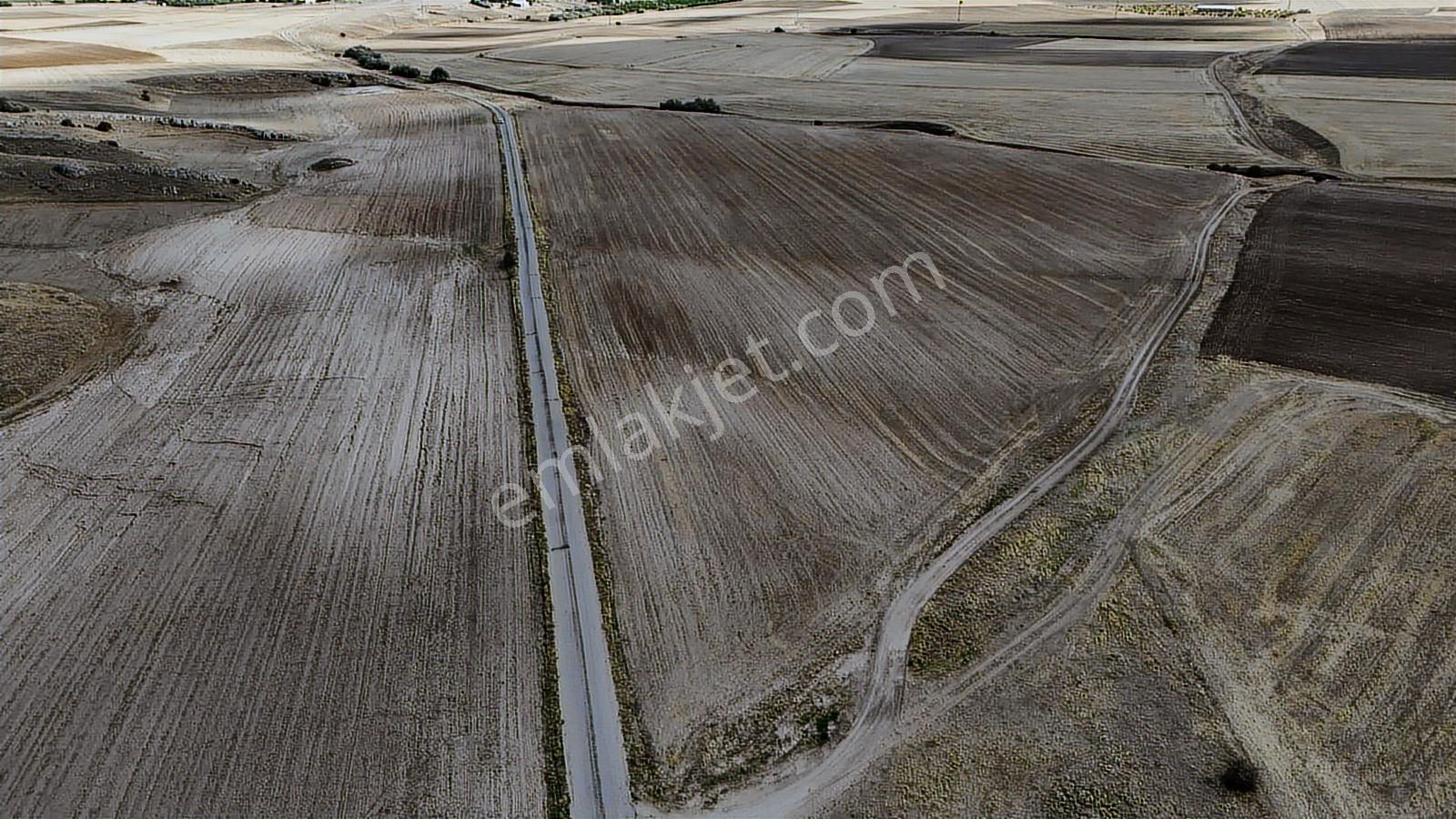 Asfalt Cephe Kırşehir Mucur Merkezde Satıroğlu Mahallesi 54000m2 - Görsel 28