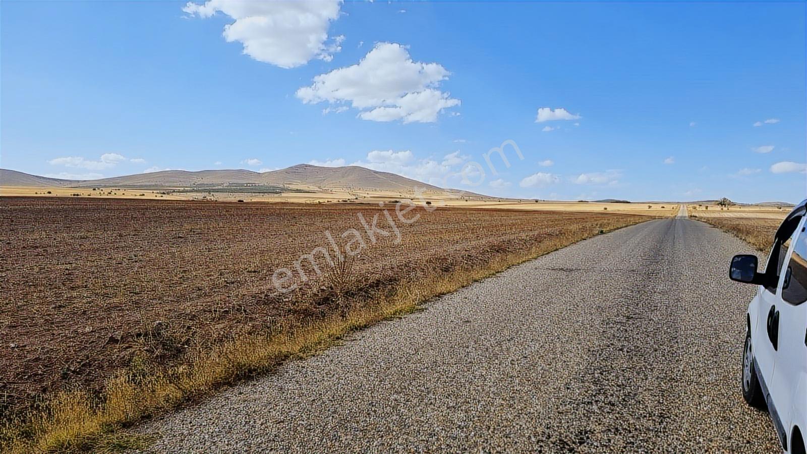 Asfalt Cephe Kırşehir Mucur Merkezde Satıroğlu Mahallesi 54000m2 - Görsel 25