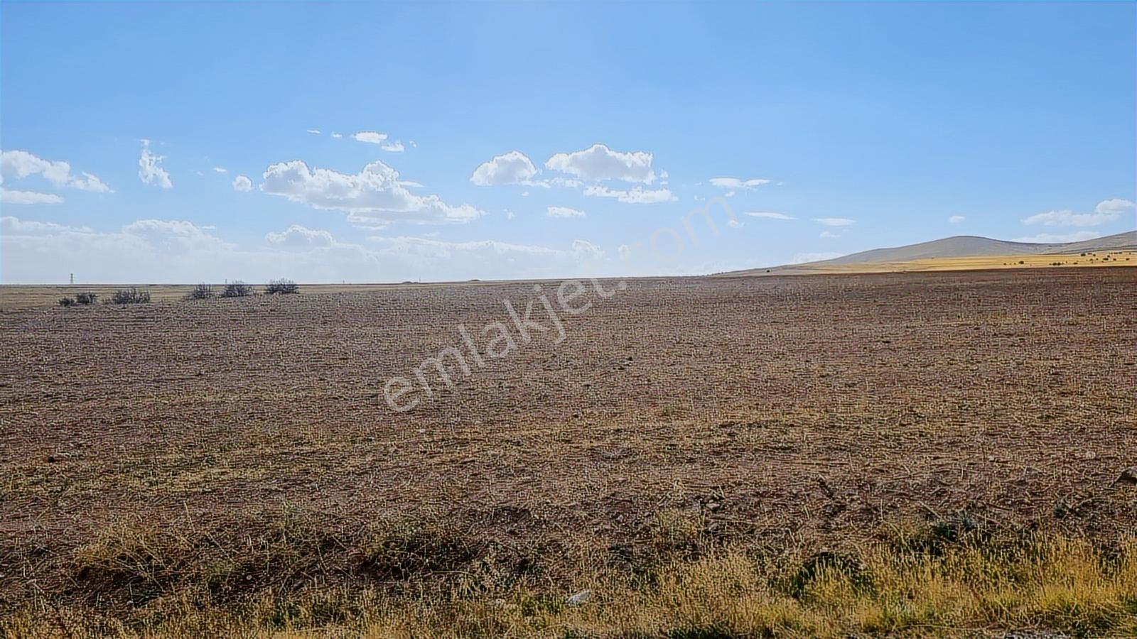 Asfalt Cephe Kırşehir Mucur Merkezde Satıroğlu Mahallesi 54000m2 - Görsel 13