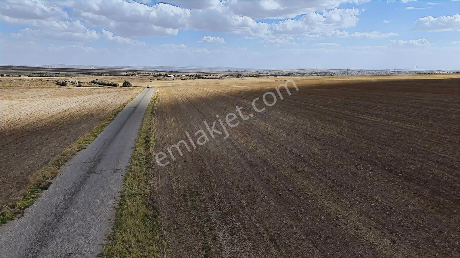 Asfalt Cephe Kırşehir Mucur Merkezde Satıroğlu Mahallesi 54000m2 - Görsel 12