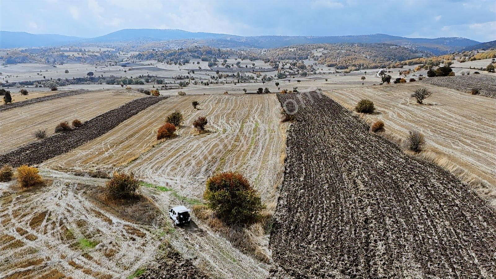 Bilecik Resmi Yolu Olan Tamamı Ekilir Fırsat Arazi5850m2 - Görsel 6