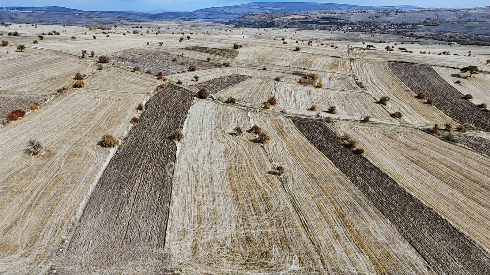 Bilecik Resmi Yolu Olan Tamamı Ekilir Fırsat Arazi5850m2 - Görsel 4
