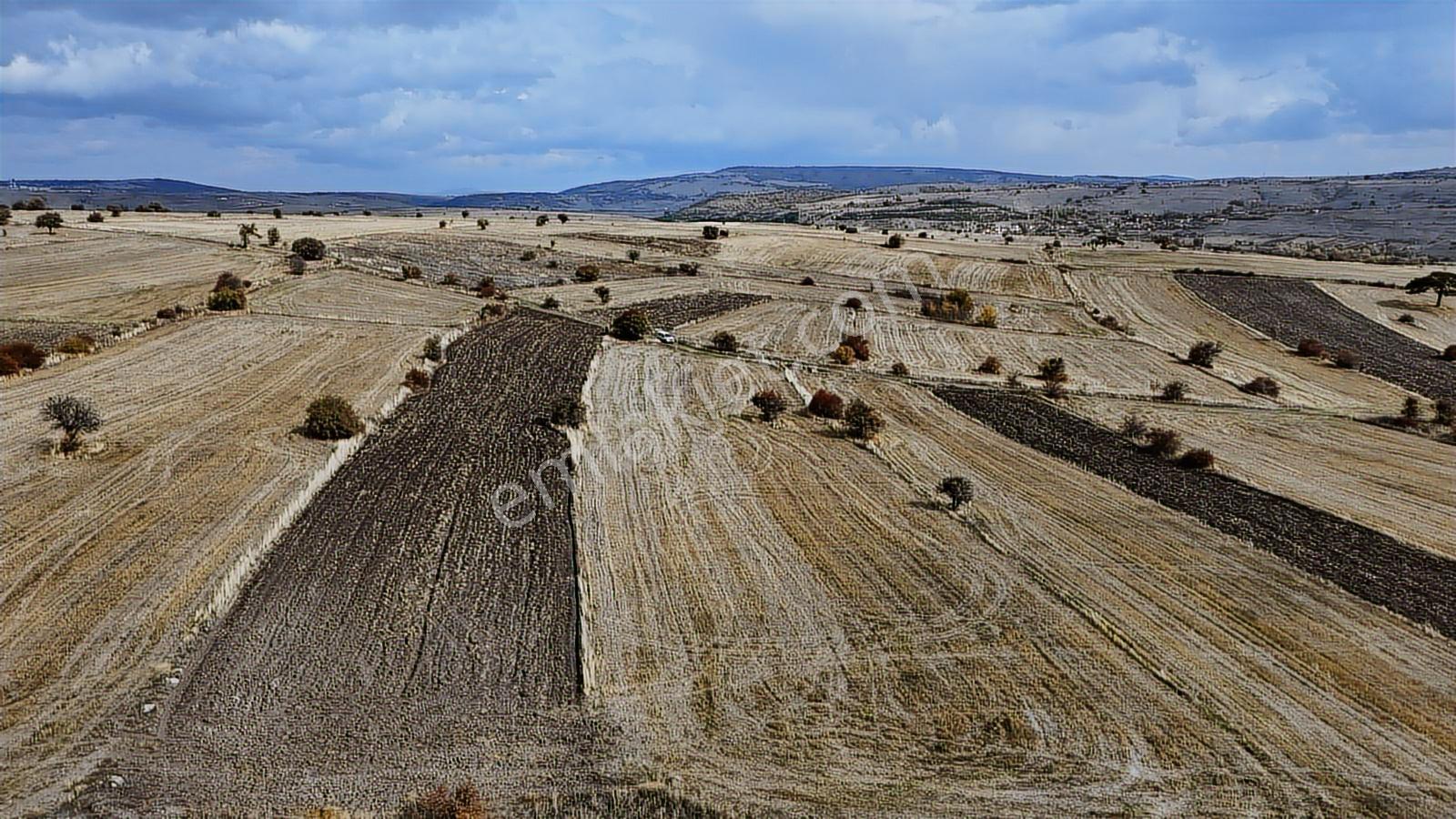 Bilecik Resmi Yolu Olan Tamamı Ekilir Fırsat Arazi5850m2 - Görsel 14