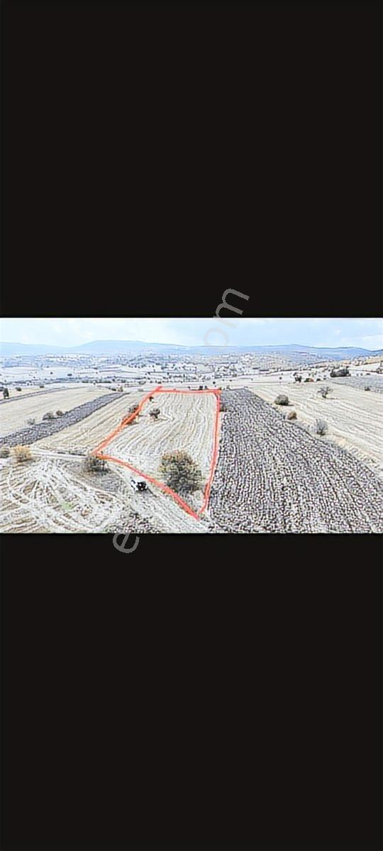 Bilecik Resmi Yolu Olan Tamamı Ekilir Fırsat Arazi5850m2 - Görsel 2