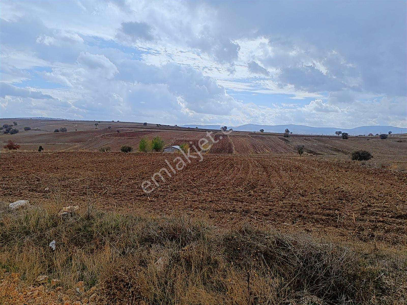 Bilecik Bozüyük Dodurga Beldesinde Asfalt Cephe 8920 Metre Tarla - Görsel 16