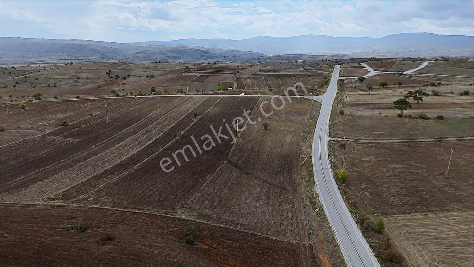 Bilecik Bozüyük Dodurga Beldesinde Asfalt Cephe 8920 Metre Tarla - Görsel 6